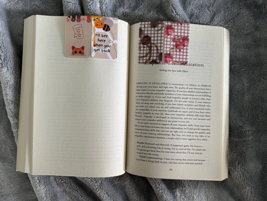 Magnetic Bookmark